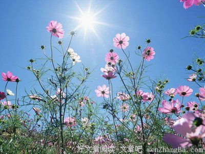 最新的静沐暖阳经典句子