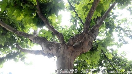 最全的王路名言名句