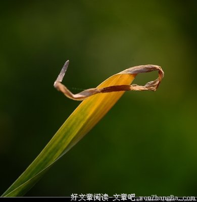 青黄不接格言警句