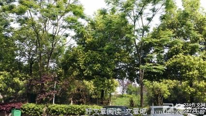 关于腐朽的句子