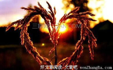 拉罗什富科格言警句