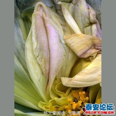 15条关于仁者见仁的经典句子