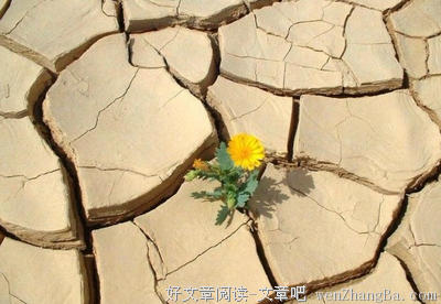 不三不四的名言_关于不三不四的名言