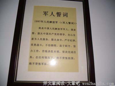 最全的《画在人心的苦闷上》名句欣赏