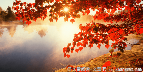 关于欢悦的句子