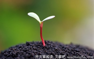 关于逆向的名言