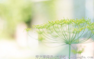 最新的《颜氏家训》语录摘抄大全