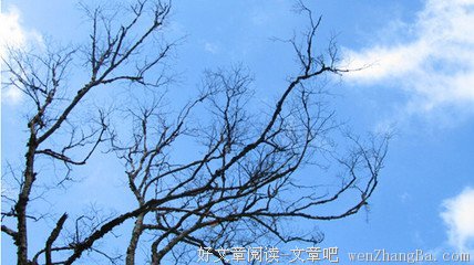 滨崎步的名言名句