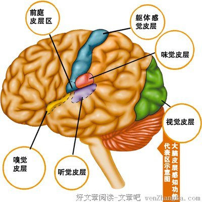 女人男人
