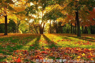 最全的《夹谷子童 语录》经典语句大全