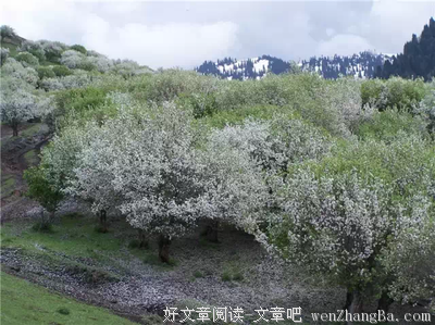 廖信忠15句经典名言