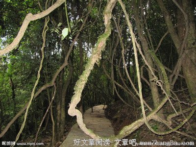 藤子·F·不二雄经典句子