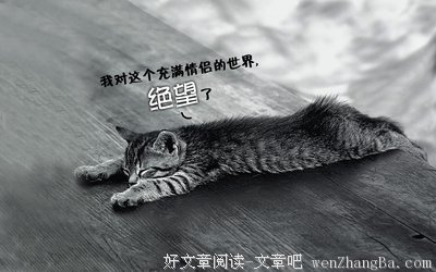 兀孑经典语录