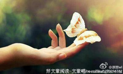 2017周白之白的名言名句
