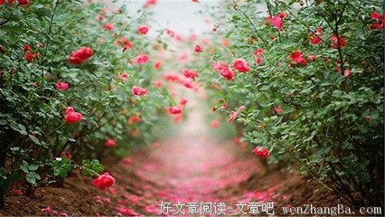 关于酒肆的唯美句子