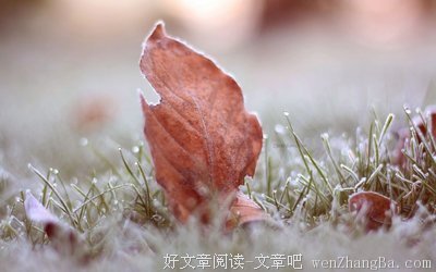 关于非亲非故的名言