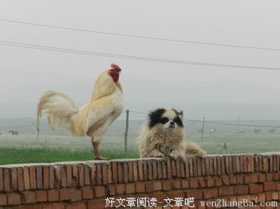 老半的名句_关于老半的名句