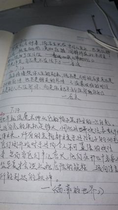 最经典的《宁静的最远处》语录摘抄大全