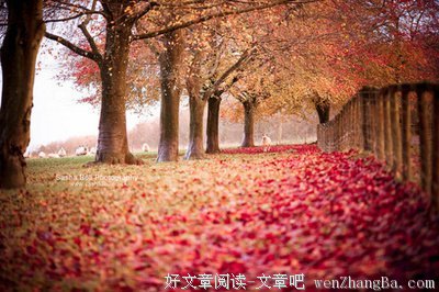 《当你老了》经典语句大全