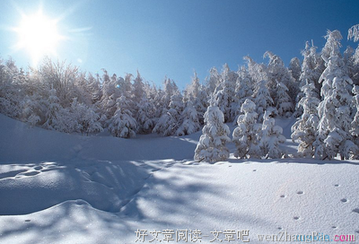 最全的《耿耿于怀》语录摘抄大全