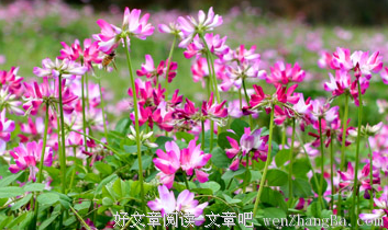 关于高楼大厦的唯美句子