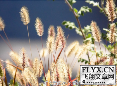 抑郁寡欢的句子_关于抑郁寡欢的句子