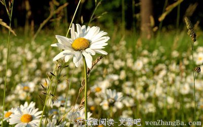 关于相濡以沫的唯美句子