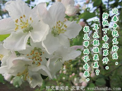 有关岁月如流的美文美句摘抄