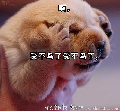 最新的《恶心》小说书摘