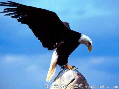 最新的梅香影疏名言名句