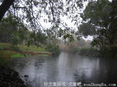  冷 雨