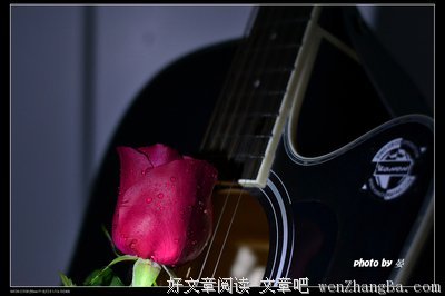 铿锵玫瑰