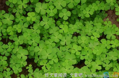 学富五车格言警句