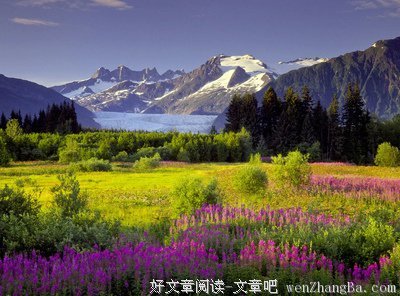 关于林清玄的句子