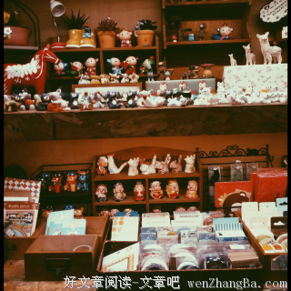 最全的《荒人手记》小说摘抄