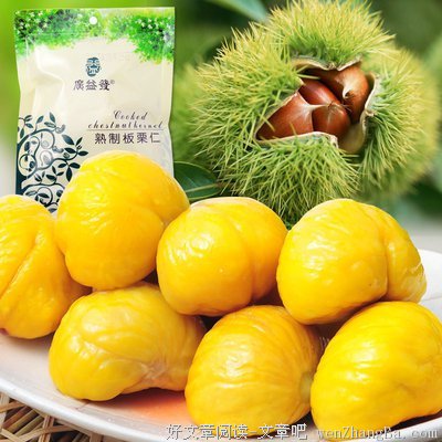 最全的板栗子经典名句