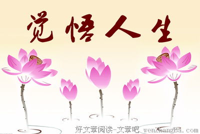 羊和猫名言大全