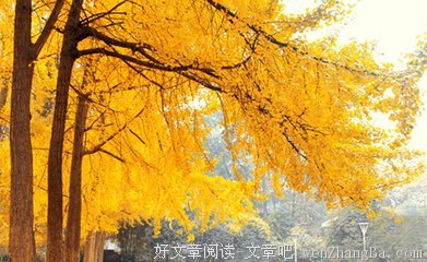 关于白居易的唯美句子