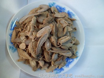 关于郁金的名言