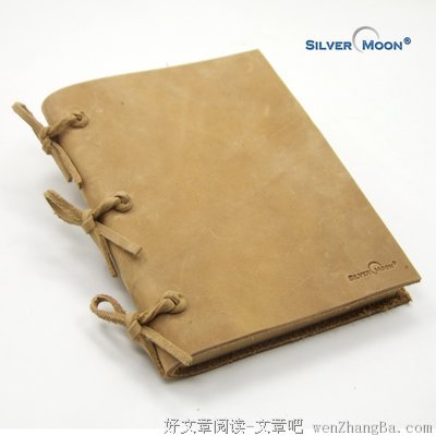 《银月之书》经典句子大全