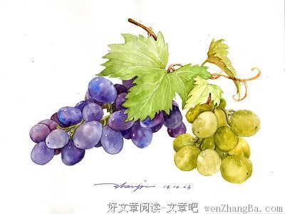 生命的时刻