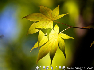 无声无息的名人名言