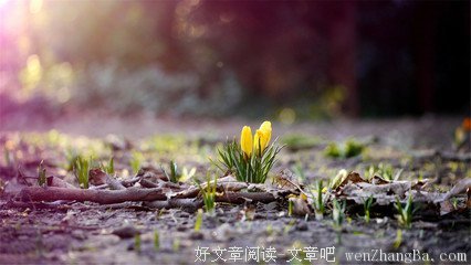 最经典的惠特曼名言名句