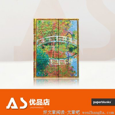 最全的《莫奈和他的眼睛》经典的句子大全