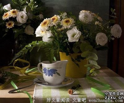 最经典的《爱神》佳句摘抄大全