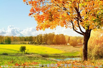 最新的《被讨厌的勇气》佳句摘抄大全