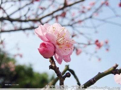 随谈