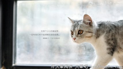 自己名言名句