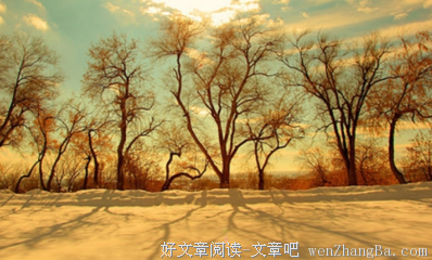 最全的《在难搞的日子笑出声来》语录摘抄