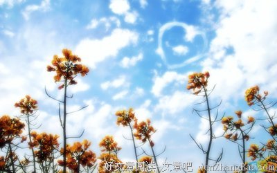 最全的《碧海蓝天》经典名句大全